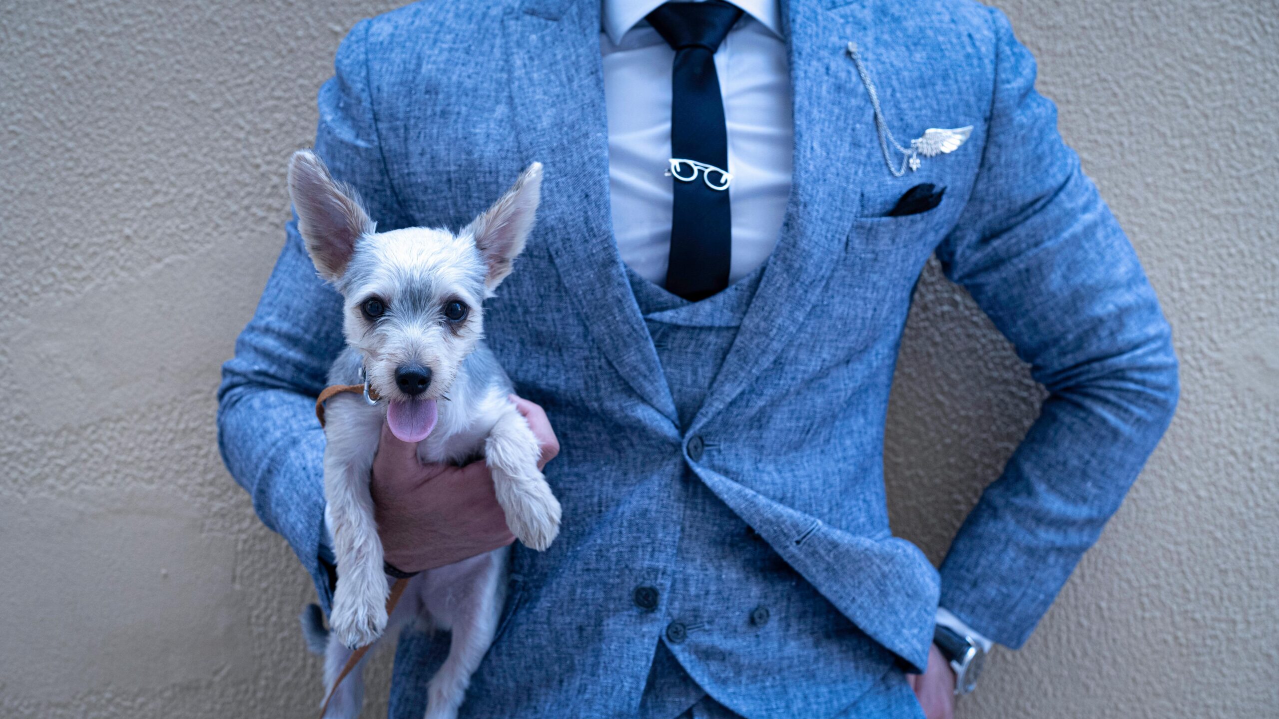 A well-dressed man in a blue suit holding an adorable small dog against a wall.